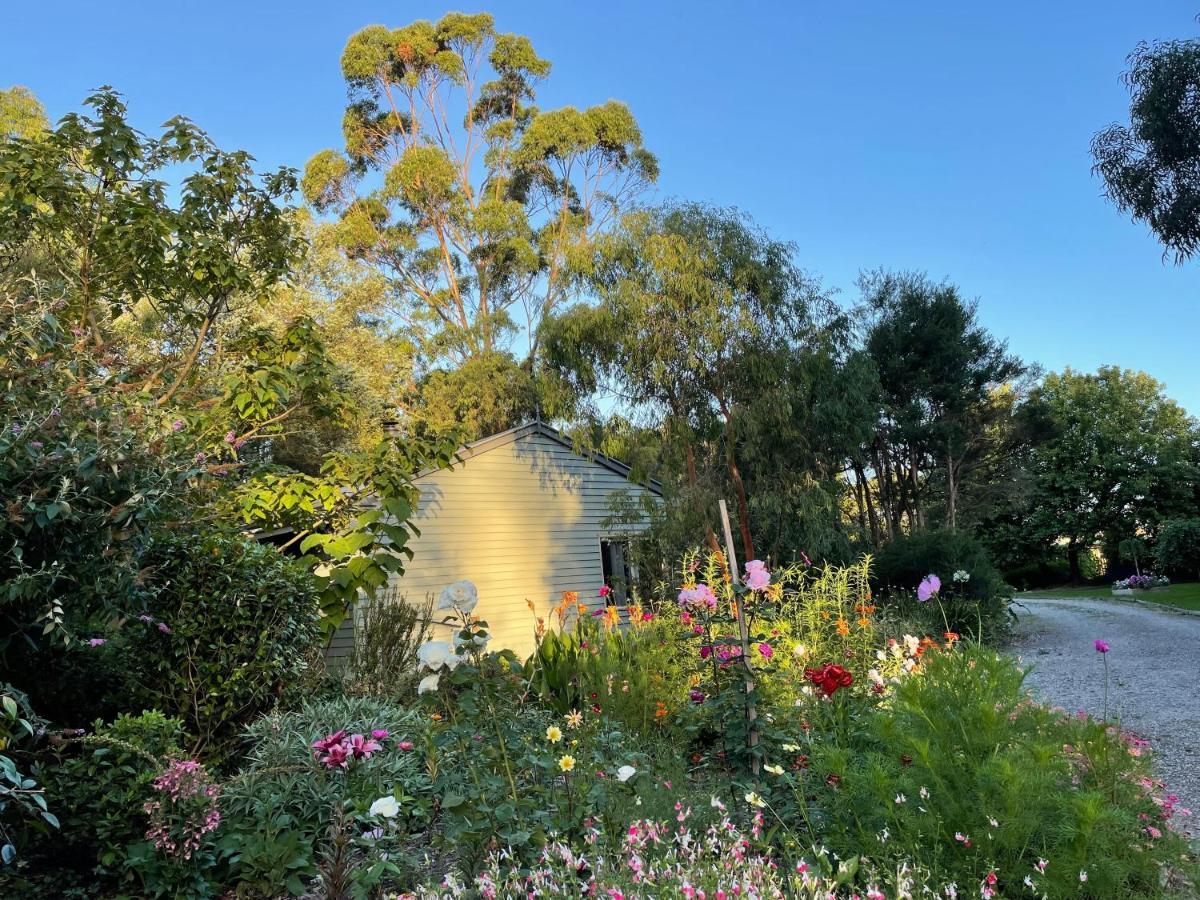 Tindoona Cottages フォスター エクステリア 写真