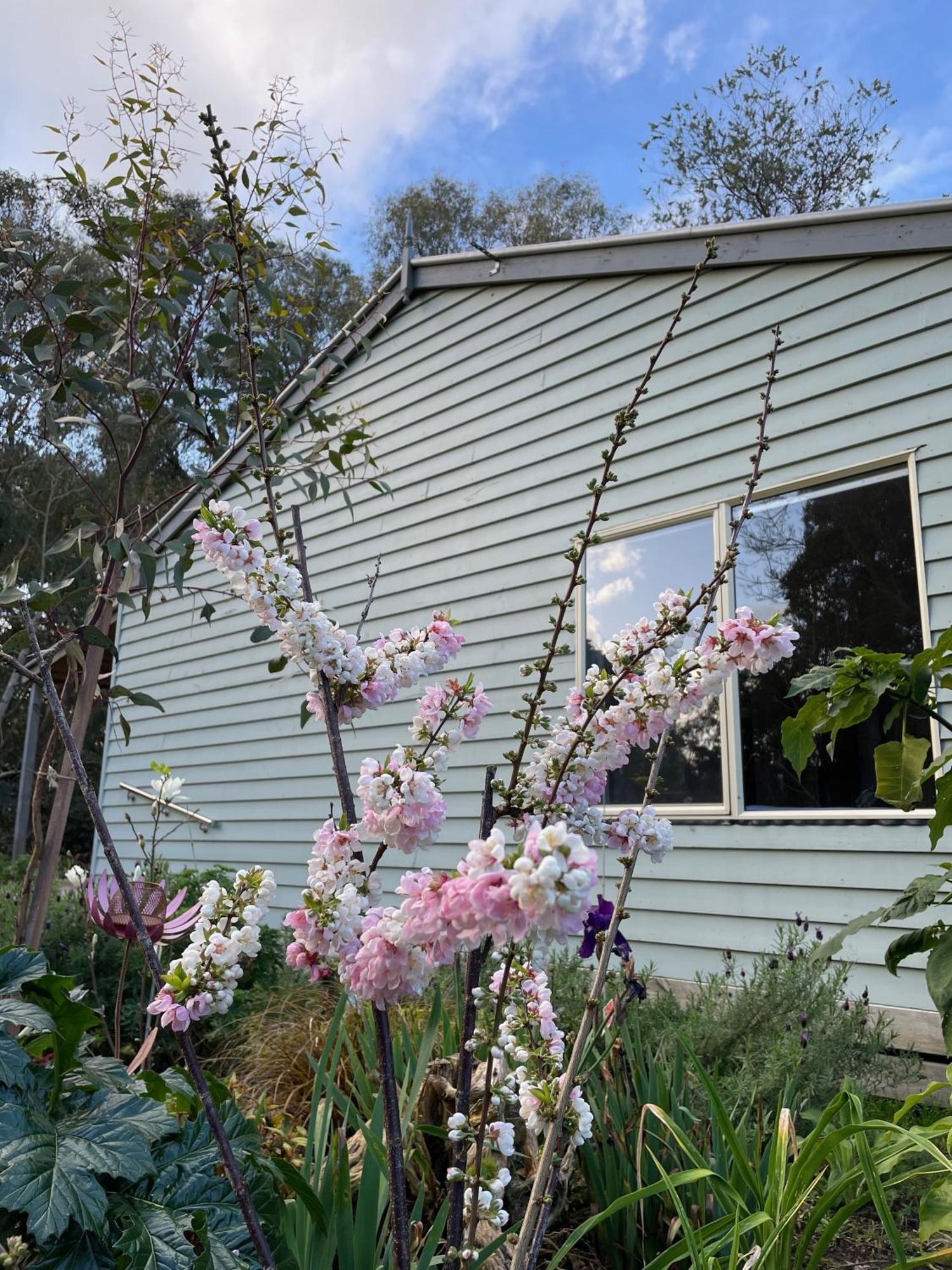 Tindoona Cottages フォスター エクステリア 写真