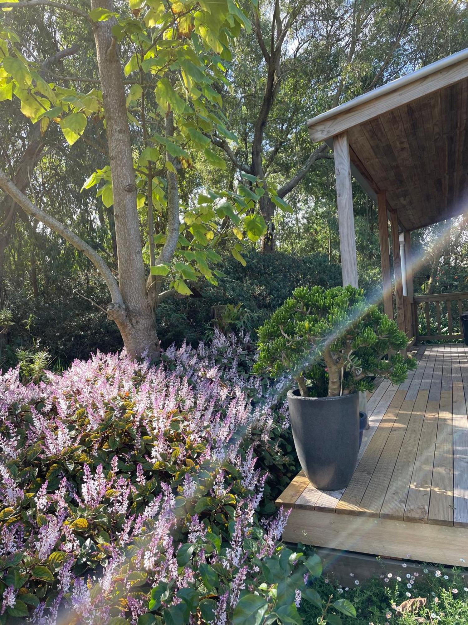 Tindoona Cottages フォスター エクステリア 写真