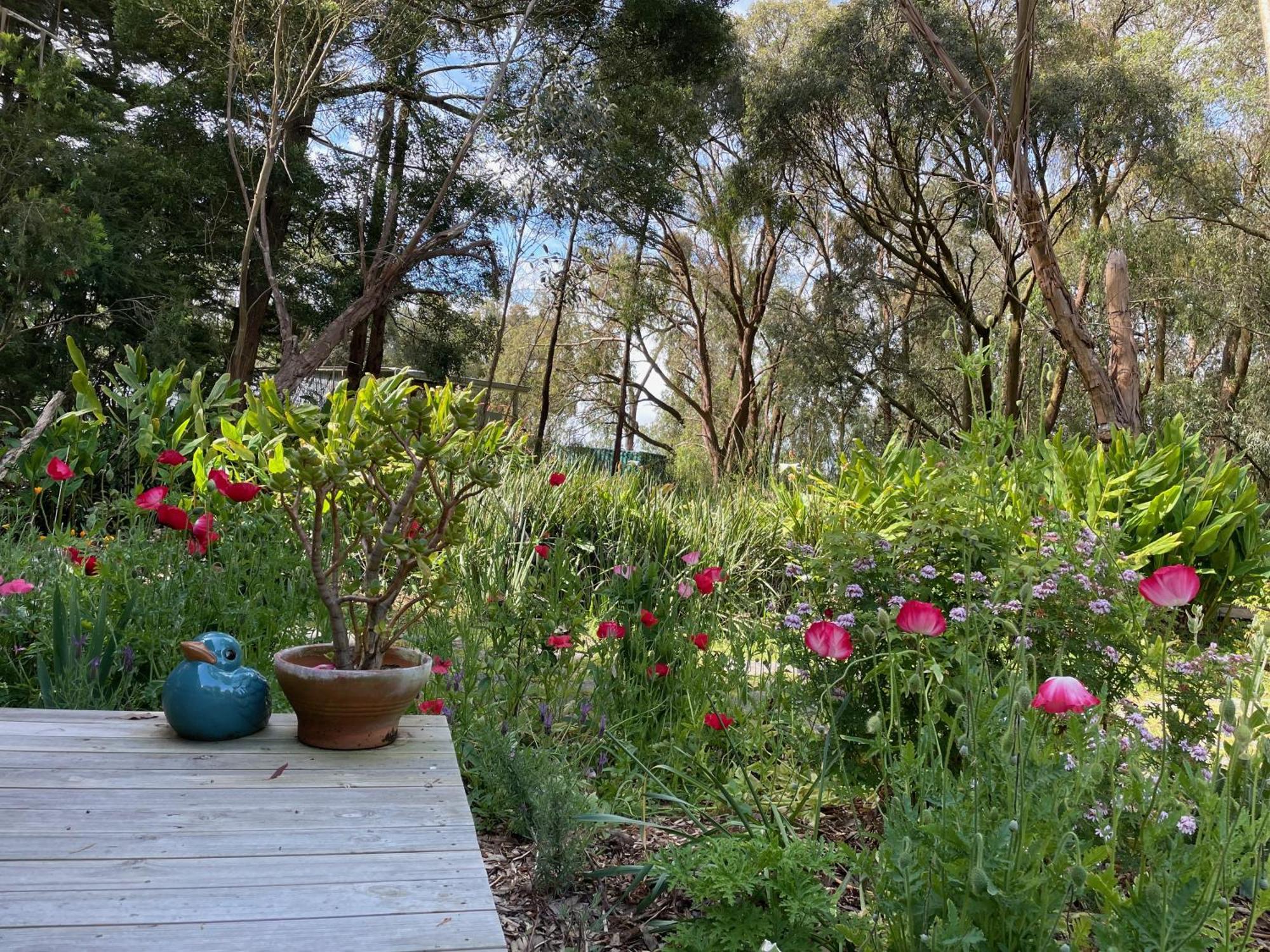 Tindoona Cottages フォスター エクステリア 写真
