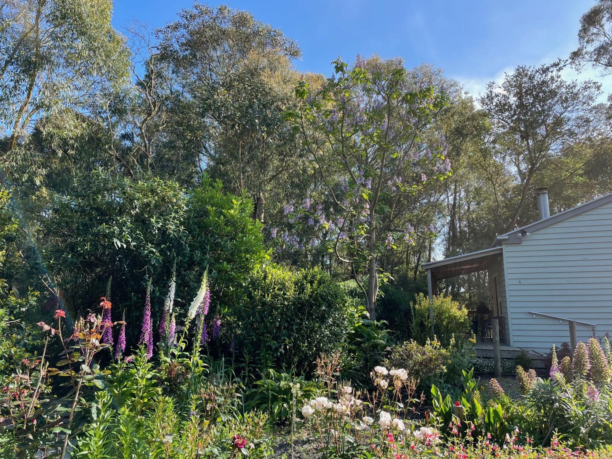 Tindoona Cottages フォスター エクステリア 写真