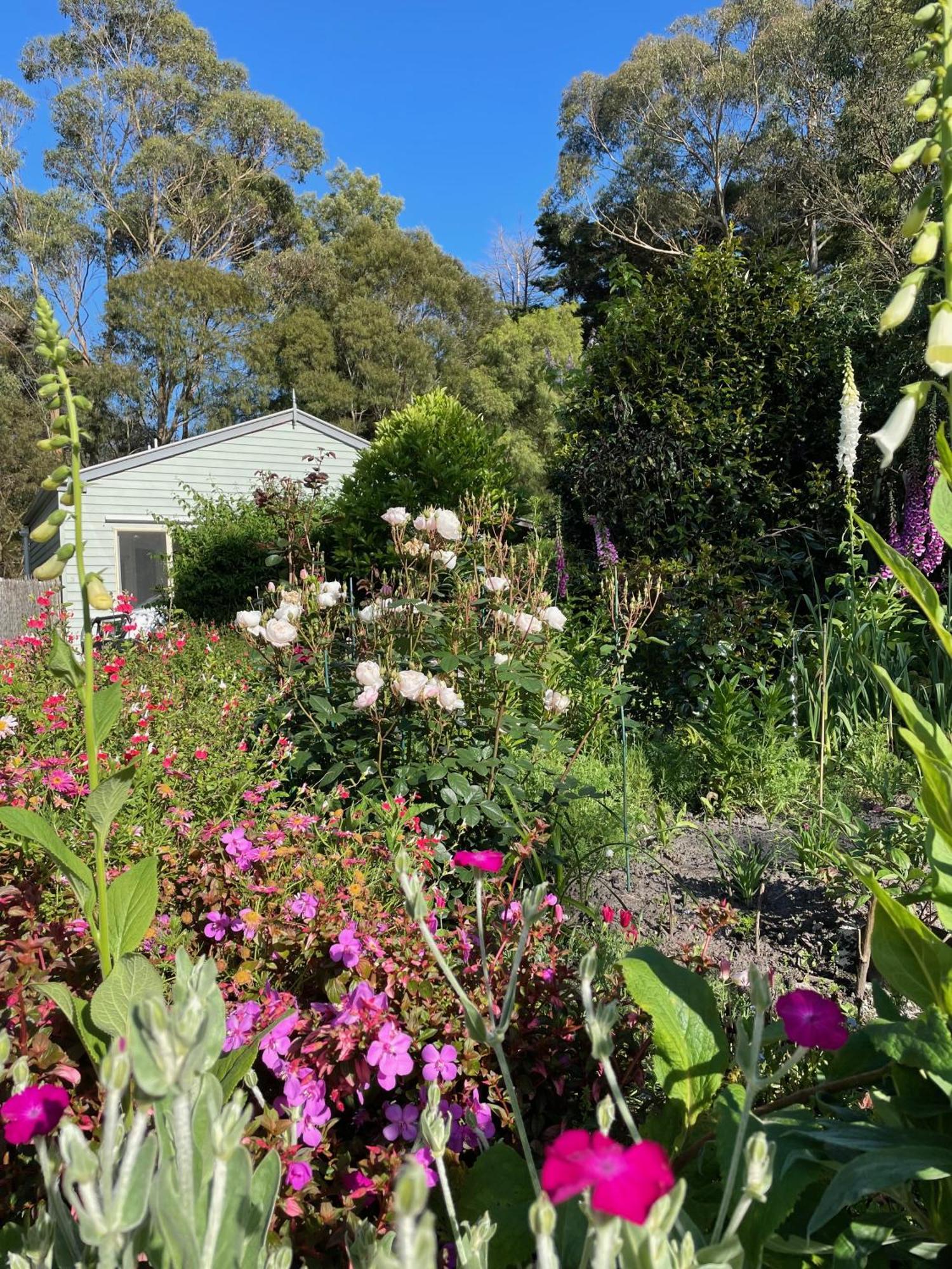 Tindoona Cottages フォスター エクステリア 写真