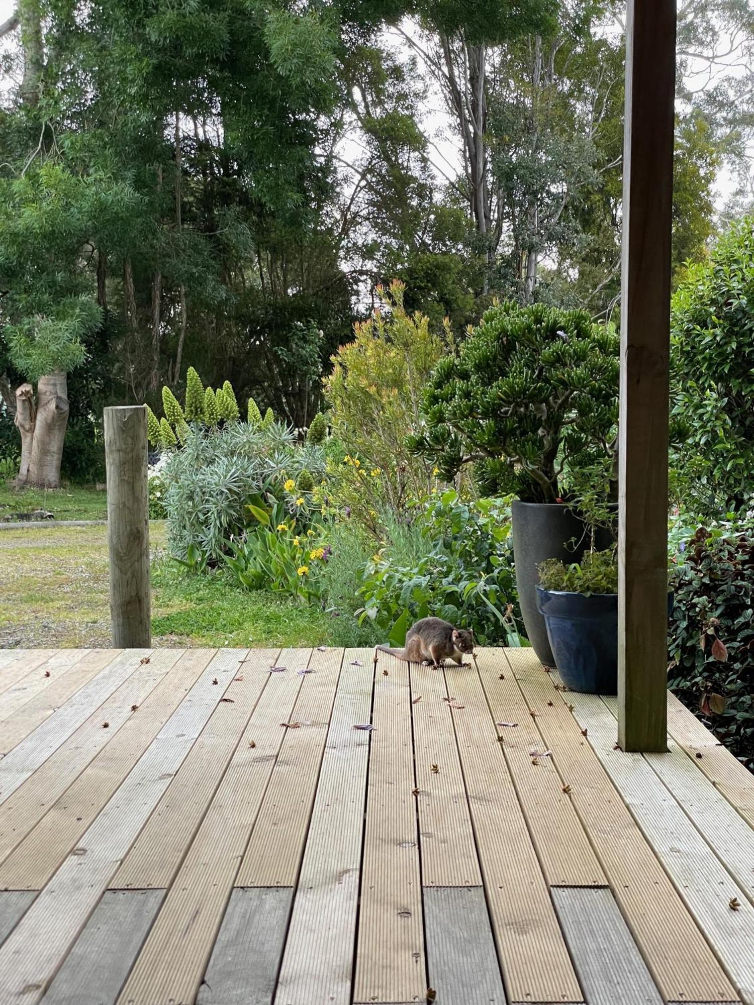 Tindoona Cottages フォスター エクステリア 写真