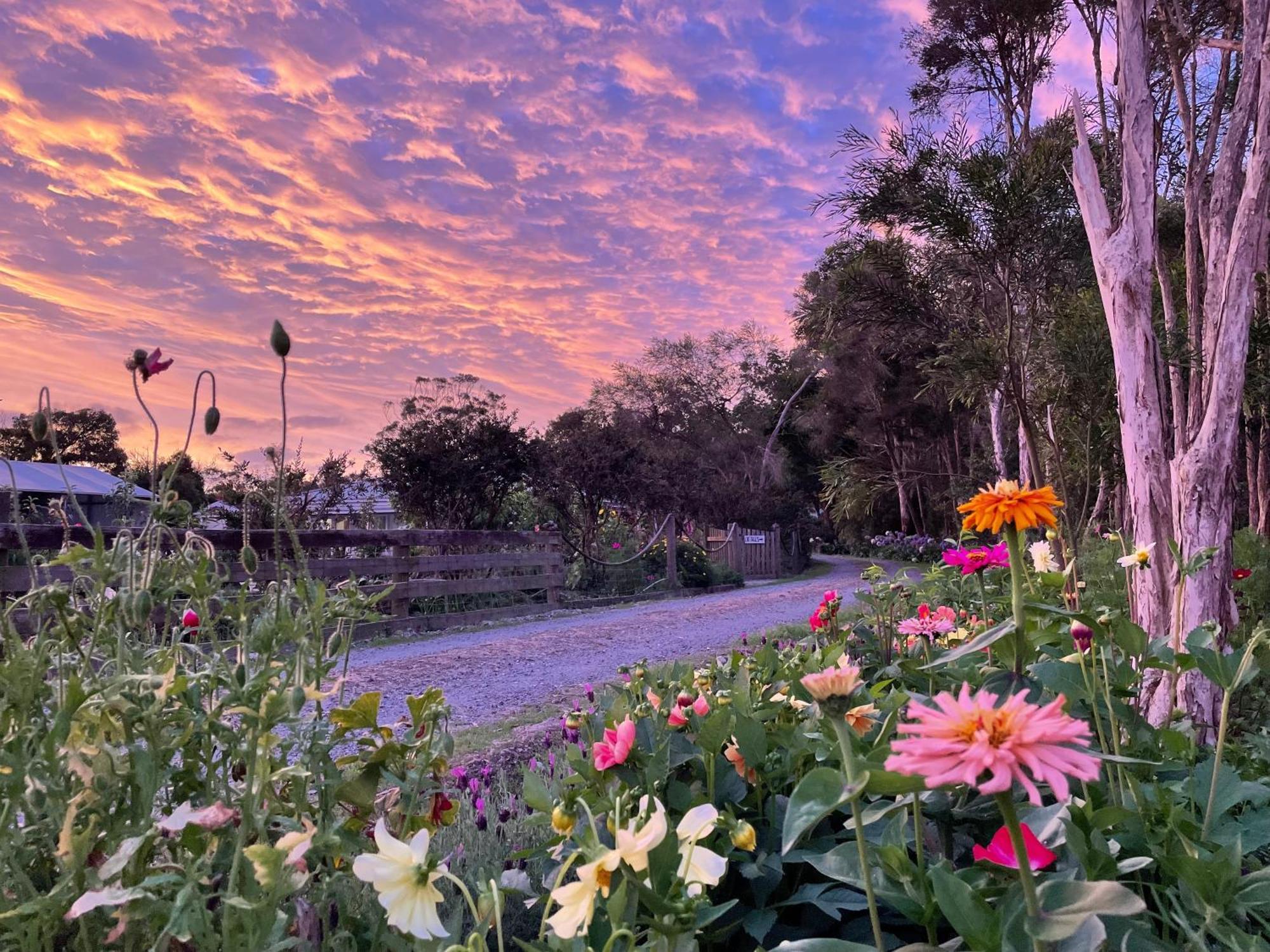 Tindoona Cottages フォスター エクステリア 写真