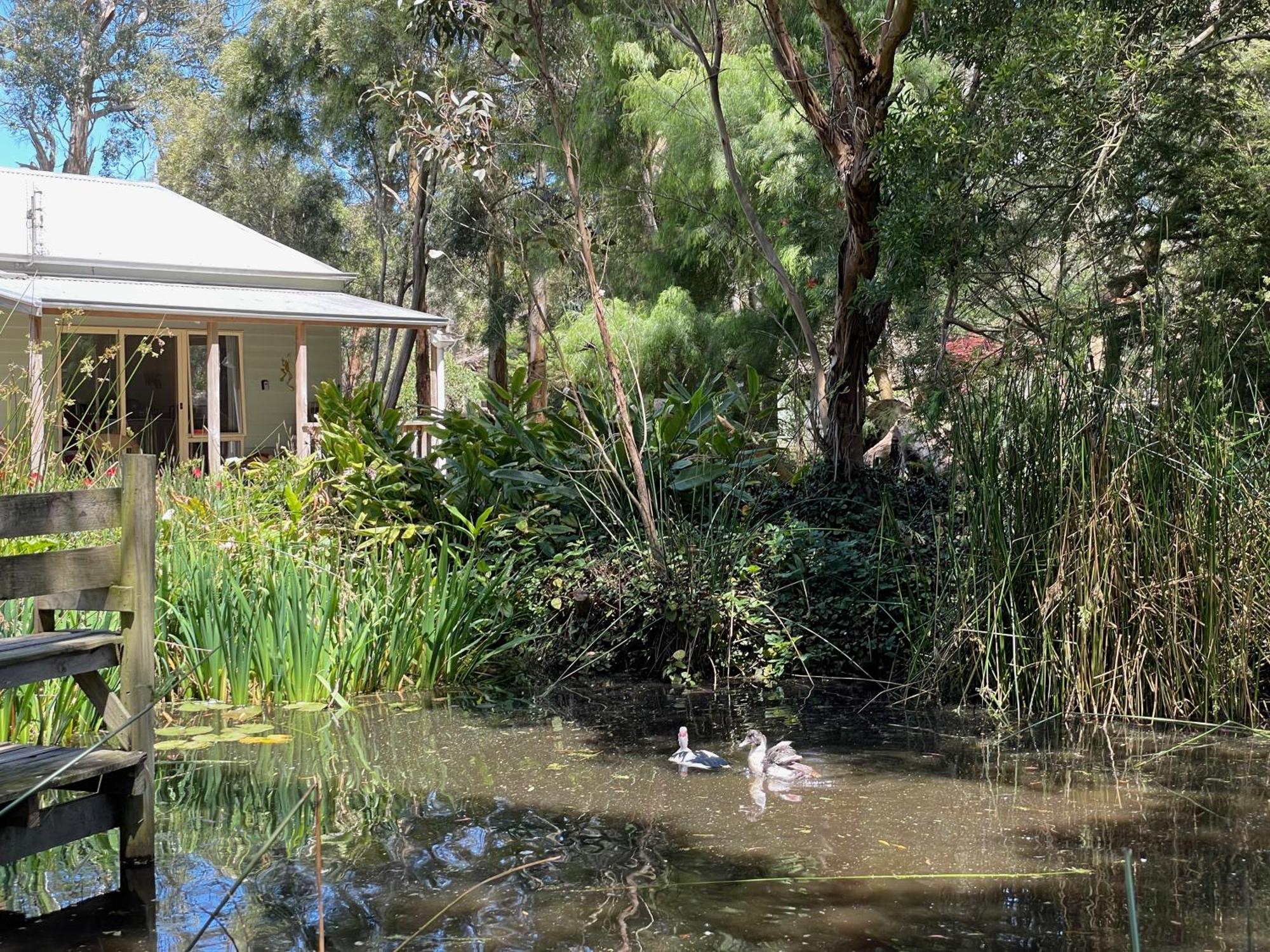 Tindoona Cottages フォスター エクステリア 写真