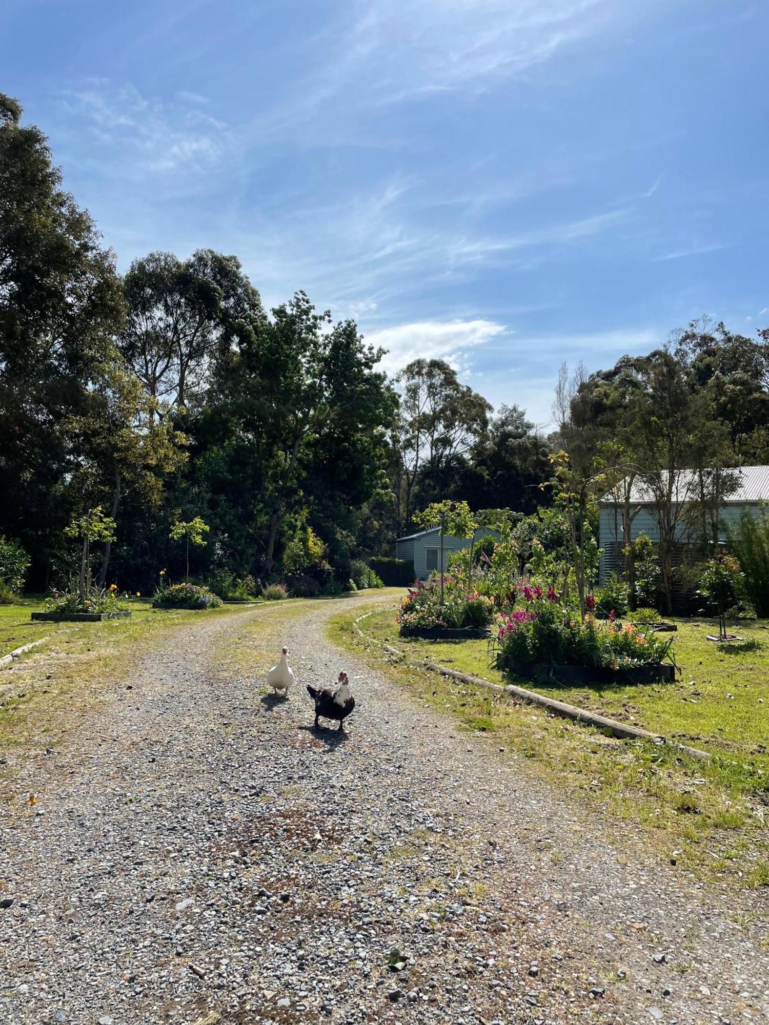 Tindoona Cottages フォスター エクステリア 写真